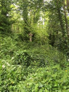 Woodvale Extra Mural Cemetery Brighton